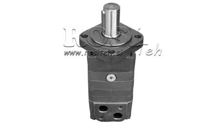HIDROMOTOR MS 100