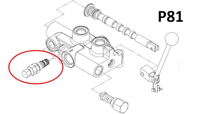 PINS DI DISCONNESSIONE DELLA PRESSIONE PER VALVOLA P81