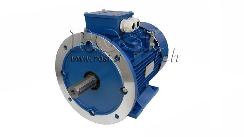 ELEKTRIČNI MOTOR 2P B3B5 3F